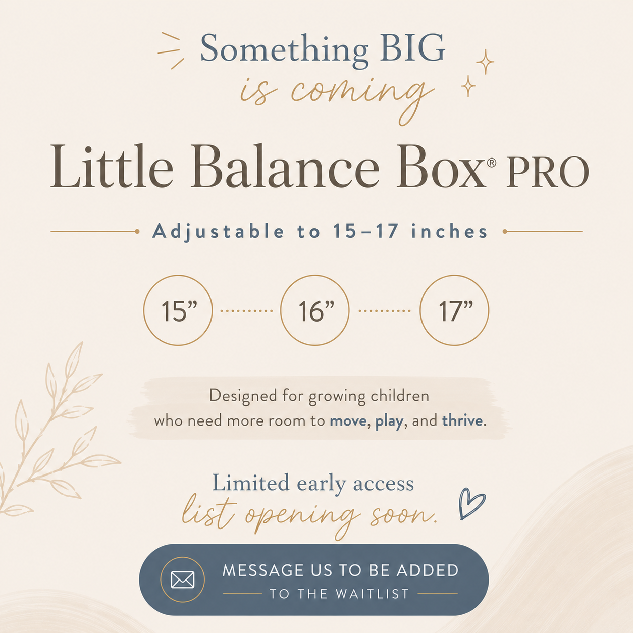 Little Balance Box® Pro (Consultation Required)